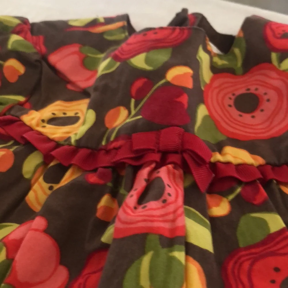 Gymboree - Picture 5 of 5
